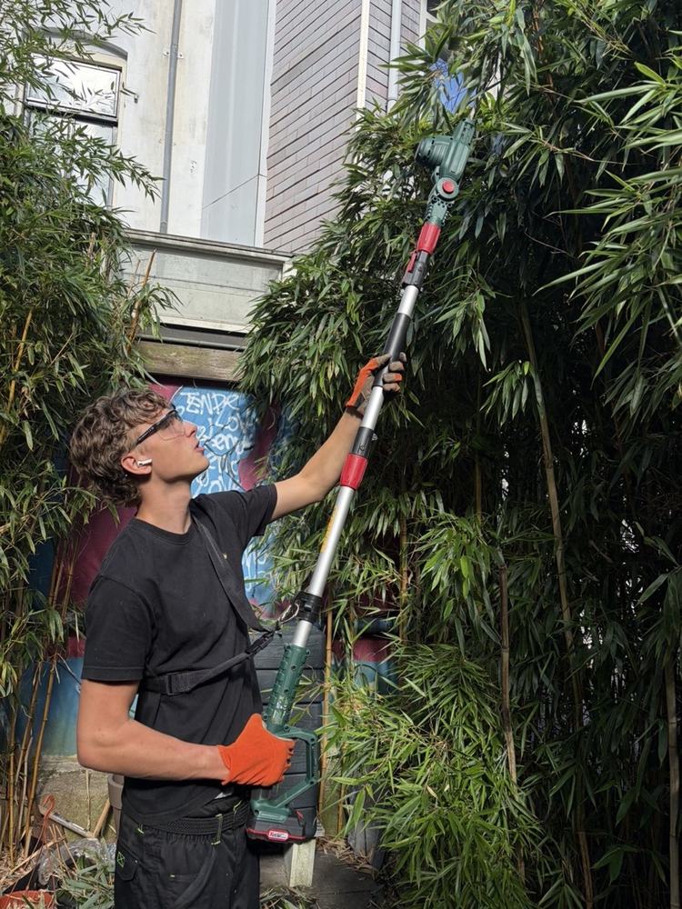 De Tuinboys snoeit bamboe met een telescoopsnoeier in De Pijp, Amsterdam